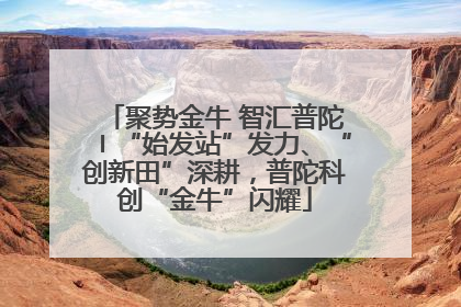 聚势金牛 智汇普陀〡“始发站”发力、“创新田”深耕，普陀科创“金牛”闪耀