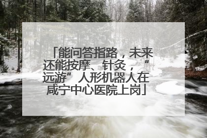 能问答指路，未来还能按摩、针灸，“远游”人形机器人在咸宁中心医院上岗