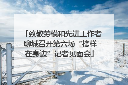 致敬劳模和先进工作者 聊城召开第六场“榜样在身边”记者见面会
