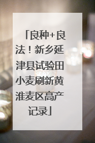 良种+良法！新乡延津县试验田小麦刷新黄淮麦区高产记录