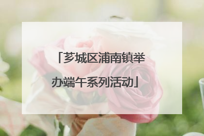 芗城区浦南镇举办端午系列活动
