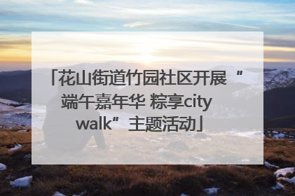 花山街道竹园社区开展“端午嘉年华 粽享city walk”主题活动