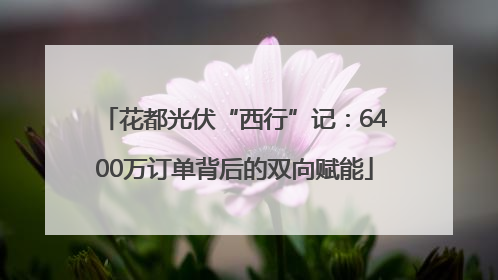 花都光伏“西行”记：6400万订单背后的双向赋能