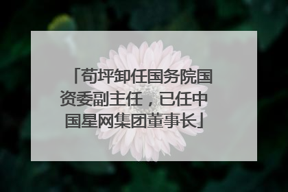 苟坪卸任国务院国资委副主任，已任中国星网集团董事长