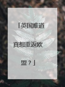 英国难道真想重返欧盟？