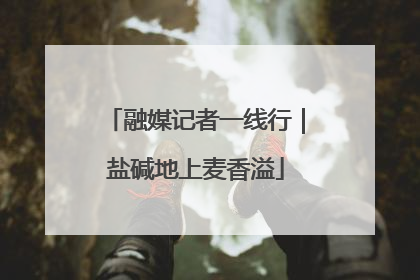 融媒记者一线行｜盐碱地上麦香溢