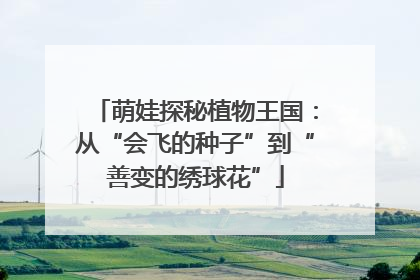 萌娃探秘植物王国：从“会飞的种子”到“善变的绣球花”