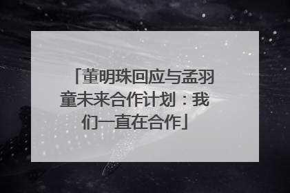 董明珠回应与孟羽童未来合作计划：我们一直在合作