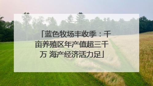 蓝色牧场丰收季：千亩养殖区年产值超三千万 海产经济活力足
