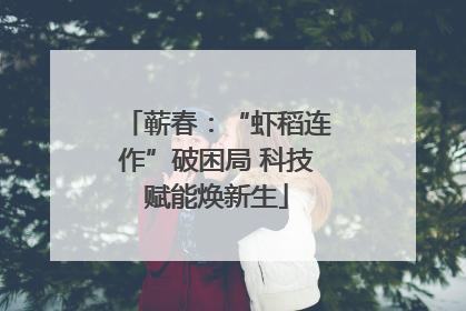蕲春：“虾稻连作”破困局 科技赋能焕新生