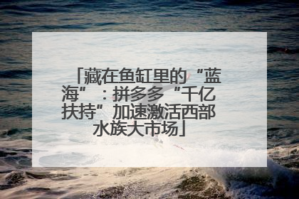 藏在鱼缸里的“蓝海”：拼多多“千亿扶持”加速激活西部水族大市场