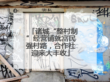 诸城“整村制”经营铺就富民强村路，合作社迎来大丰收