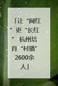 让“网红”更“长红” 杭州培育“村播”2600余人