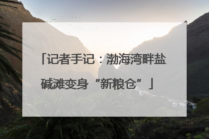 记者手记：渤海湾畔盐碱滩变身“新粮仓”