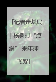 记者走基层｜杨树打“点滴” 来年抑飞絮