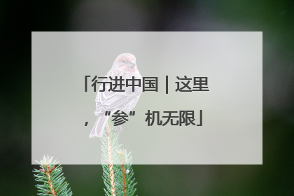 行进中国｜这里，“参”机无限