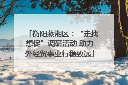 衡阳蒸湘区：“走找想促”调研活动 助力外经贸事业行稳致远