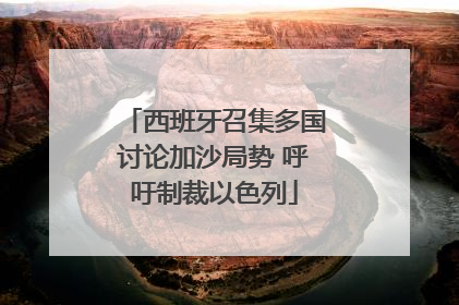 西班牙召集多国讨论加沙局势 呼吁制裁以色列