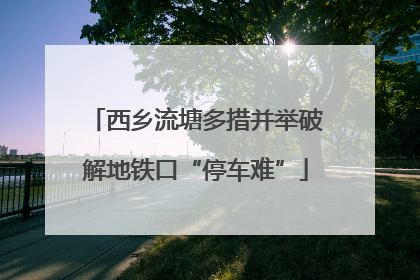西乡流塘多措并举破解地铁口“停车难”