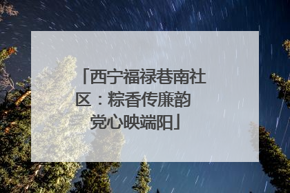 西宁福禄巷南社区：粽香传廉韵 党心映端阳