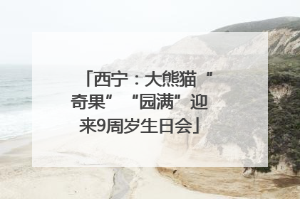 西宁：大熊猫“奇果”“园满”迎来9周岁生日会