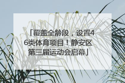 覆盖全龄段，设置46类体育项目！静安区第三届运动会启幕