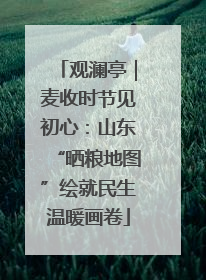 观澜亭｜麦收时节见初心：山东“晒粮地图”绘就民生温暖画卷