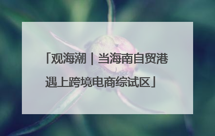 观海潮｜当海南自贸港遇上跨境电商综试区