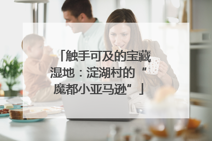 触手可及的宝藏湿地：淀湖村的“魔都小亚马逊”