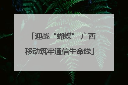 迎战“蝴蝶” 广西移动筑牢通信生命线