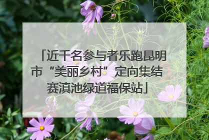 近千名参与者乐跑昆明市“美丽乡村”定向集结赛滇池绿道福保站