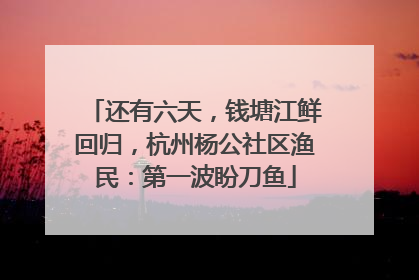 还有六天，钱塘江鲜回归，杭州杨公社区渔民：第一波盼刀鱼
