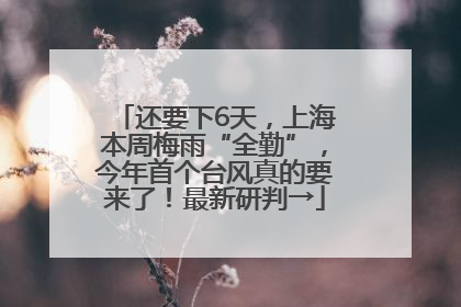 还要下6天，上海本周梅雨“全勤”，今年首个台风真的要来了！最新研判→