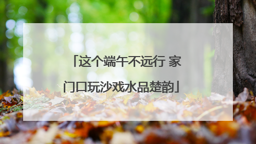 这个端午不远行 家门口玩沙戏水品楚韵