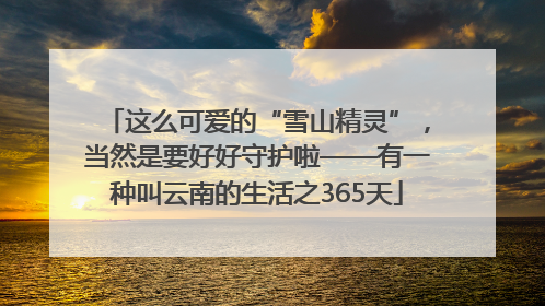这么可爱的“雪山精灵”，当然是要好好守护啦——有一种叫云南的生活之365天