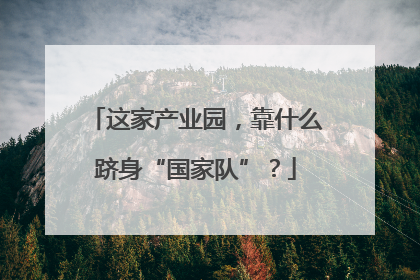 这家产业园，靠什么跻身“国家队”？