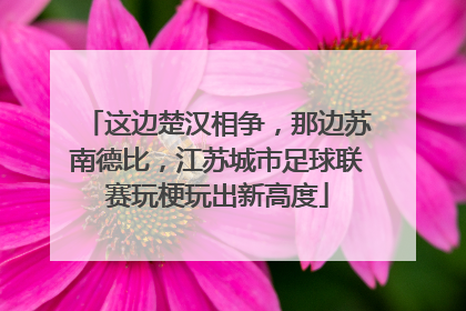 这边楚汉相争，那边苏南德比，江苏城市足球联赛玩梗玩出新高度