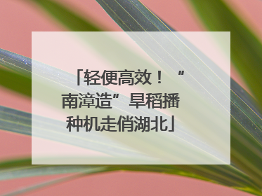 轻便高效！“南漳造”旱稻播种机走俏湖北