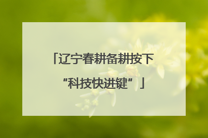 辽宁春耕备耕按下“科技快进键”