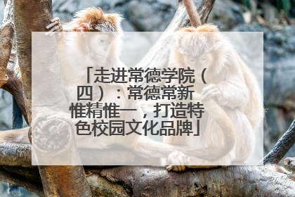 走进常德学院（四）：常德常新 惟精惟一，打造特色校园文化品牌