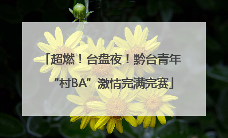 超燃！台盘夜！黔台青年“村BA”激情完满完赛
