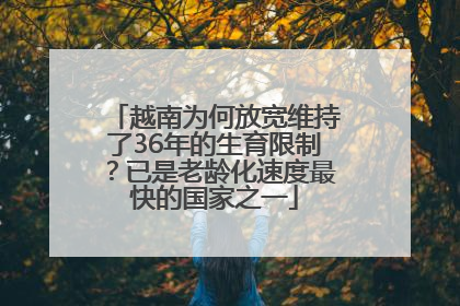 越南为何放宽维持了36年的生育限制？已是老龄化速度最快的国家之一