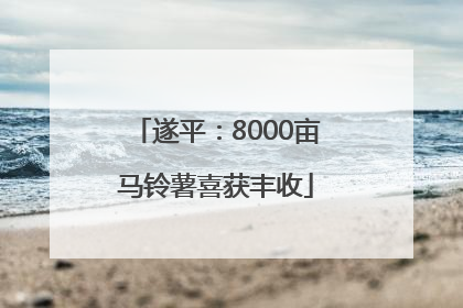 遂平：8000亩马铃薯喜获丰收