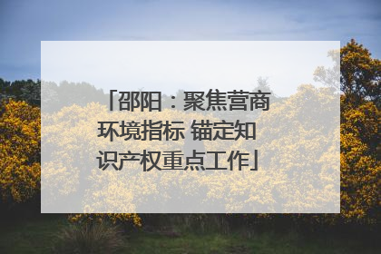 邵阳：聚焦营商环境指标 锚定知识产权重点工作