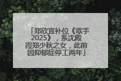 郑欣宜补位《歌手2025》，系沈殿霞郑少秋之女，此前因抑郁症停工两年
