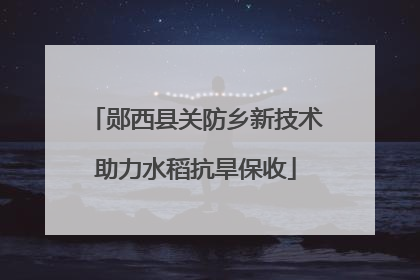 郧西县关防乡新技术助力水稻抗旱保收