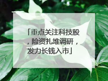 重点关注科技股，险资扎堆调研，发力长钱入市