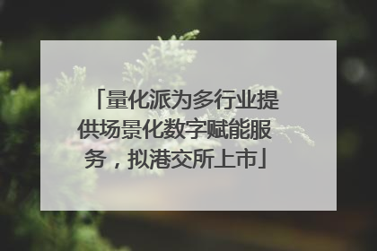 量化派为多行业提供场景化数字赋能服务，拟港交所上市