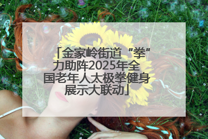 金家岭街道“拳”力助阵2025年全国老年人太极拳健身展示大联动