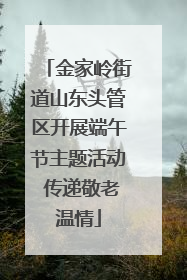 金家岭街道山东头管区开展端午节主题活动 传递敬老温情